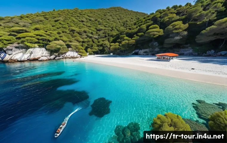 Deniz Ekoturizmi Rehberi Mavi Sularda Unutulmaz Bir Macera İçin 7 İpucu 3 해양 생태 관광 관련 이미지 1